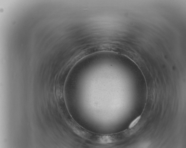 X0000062140091200512161229