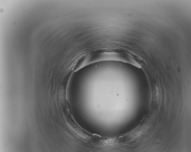 X0000062140092200512161229