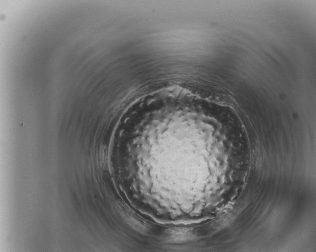 X0000062140093200512161229