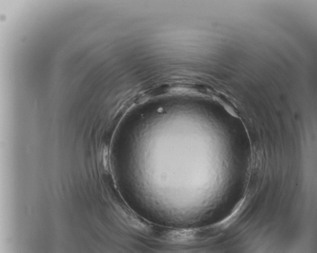 X0000062140094200512161229