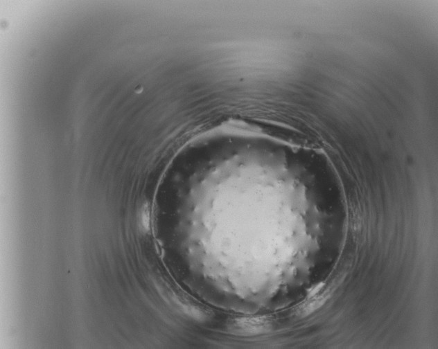 X0000062140095200512161229