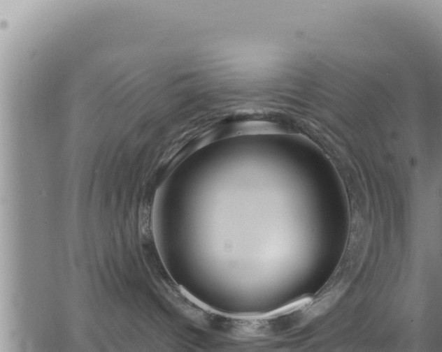 X0000062140096200512161229