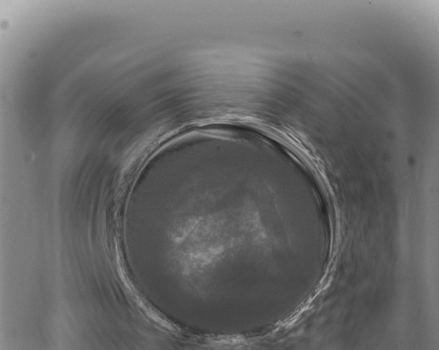 X0000062140097200512161228