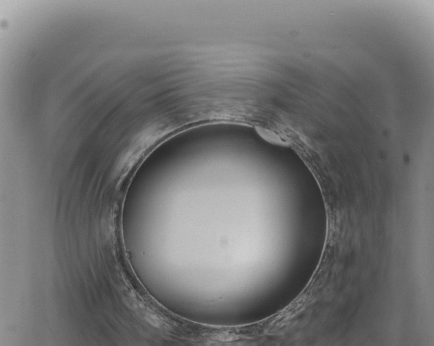 X0000062140098200512161228