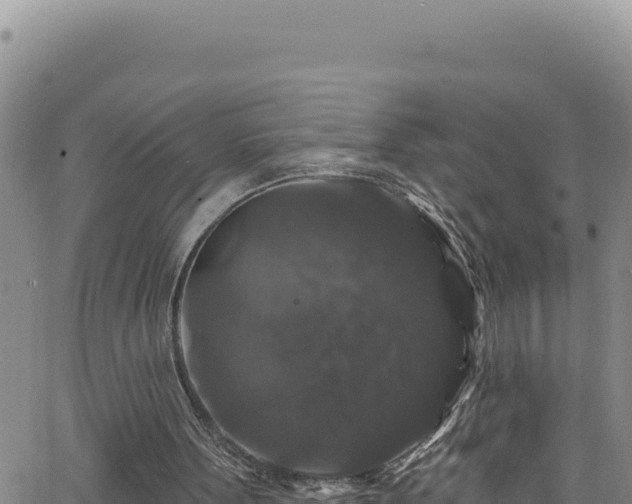 X0000062140099200512161228