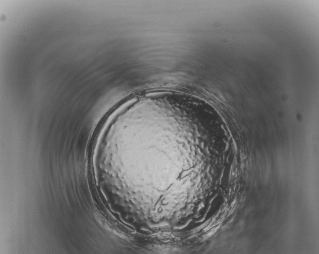 X0000062140100200512161228