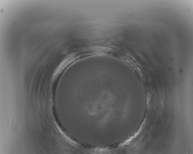 X0000062140101200512161228