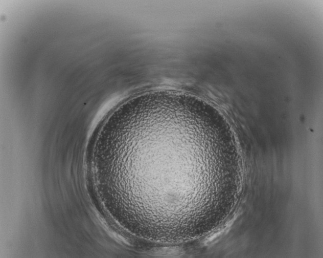 X0000062140102200512161228