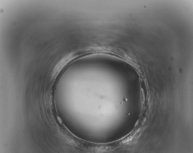 X0000062140103200512161228