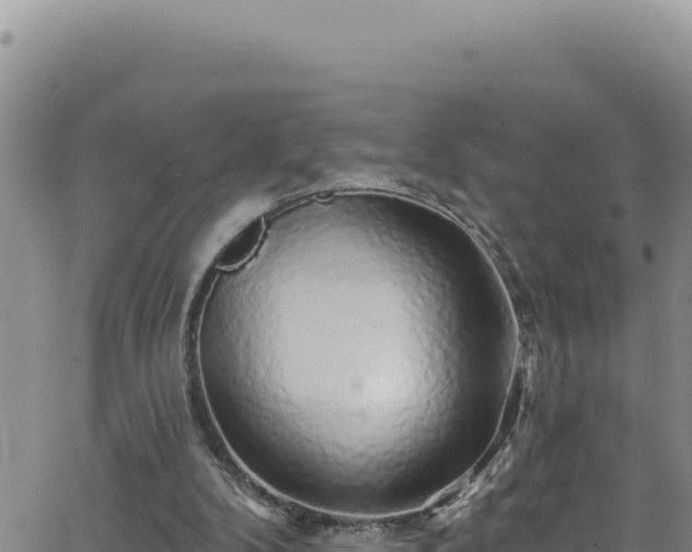 X0000062140104200512161228