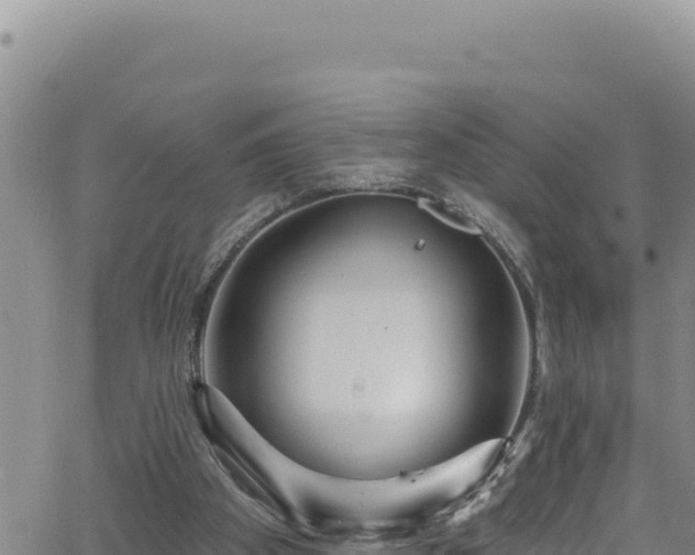 X0000062140105200512161228