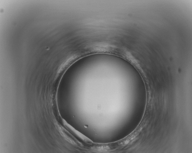 X0000062140106200512161228