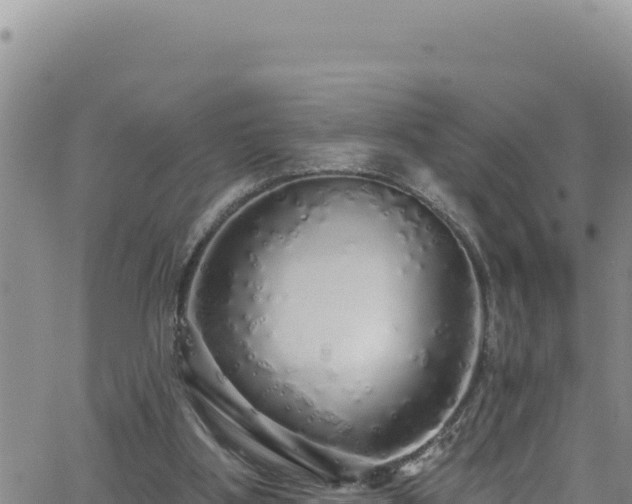 X0000062140107200512161228