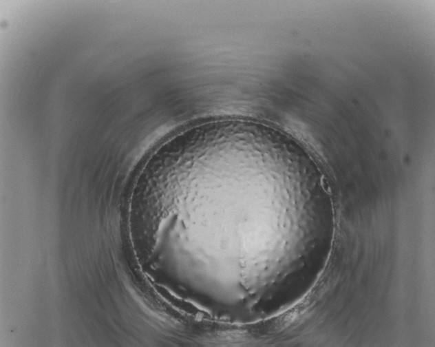 X0000062140108200512161228