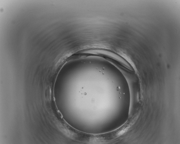 X0000062140109200512161228