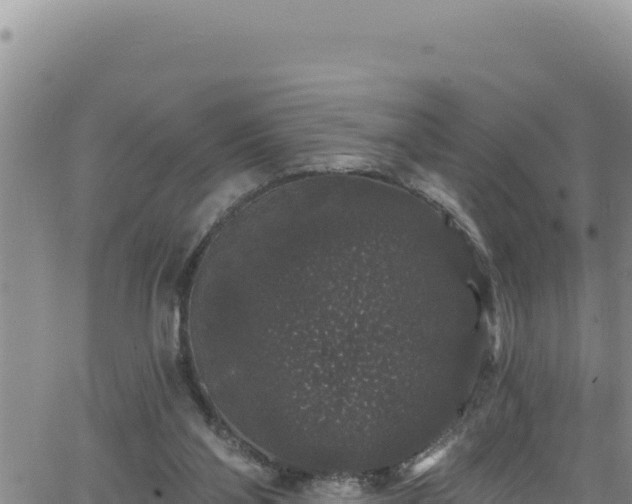 X0000062140110200512161228