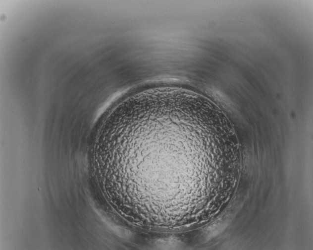 X0000062140112200512161228