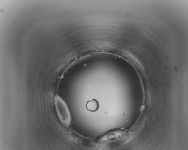 X0000062140113200512161228