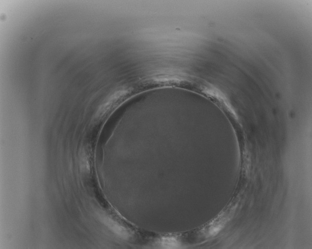 X0000062140114200512161228