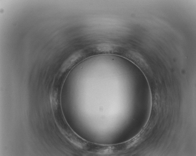 X0000062140116200512161228