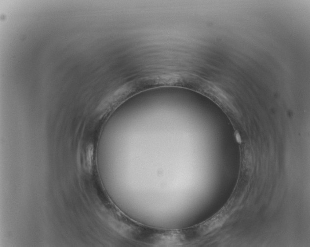 X0000062140118200512161228