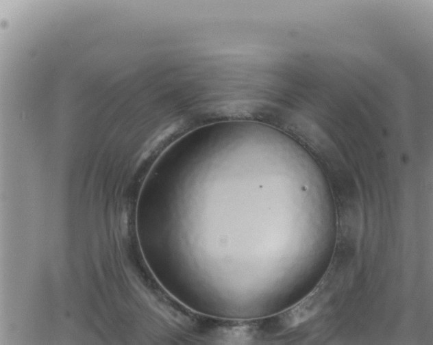 X0000062140120200512161228