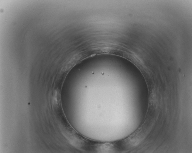 X0000062140122200512161228