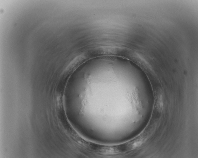 X0000062140123200512161227