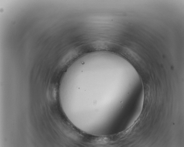 X0000062140124200512161227