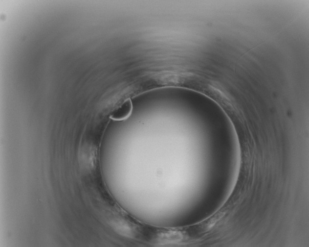 X0000062140125200512161227