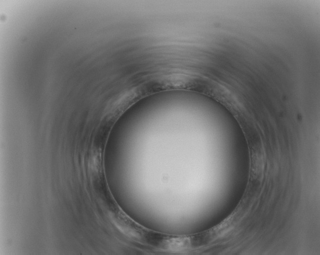 X0000062140126200512161227