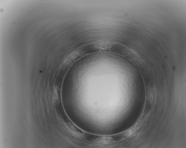 X0000062140128200512161227