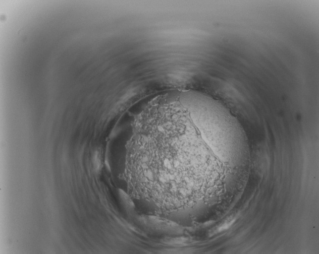 X0000062140131200512161227