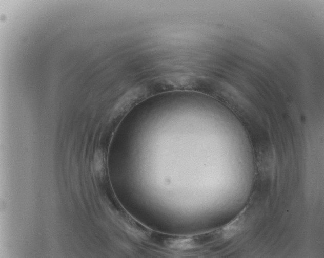 X0000062140132200512161227