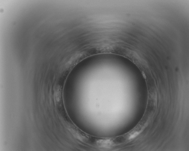 X0000062140133200512161227