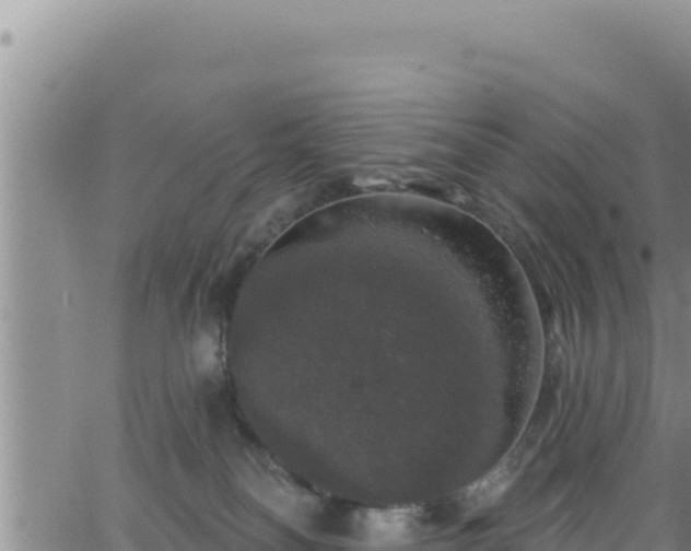 X0000062140134200512161227