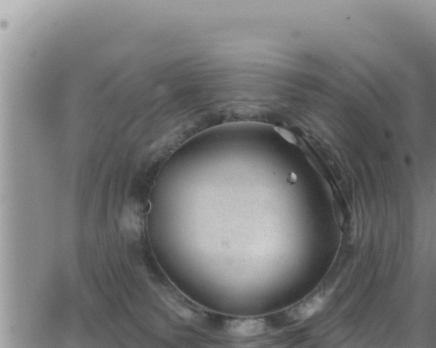 X0000062140135200512161227