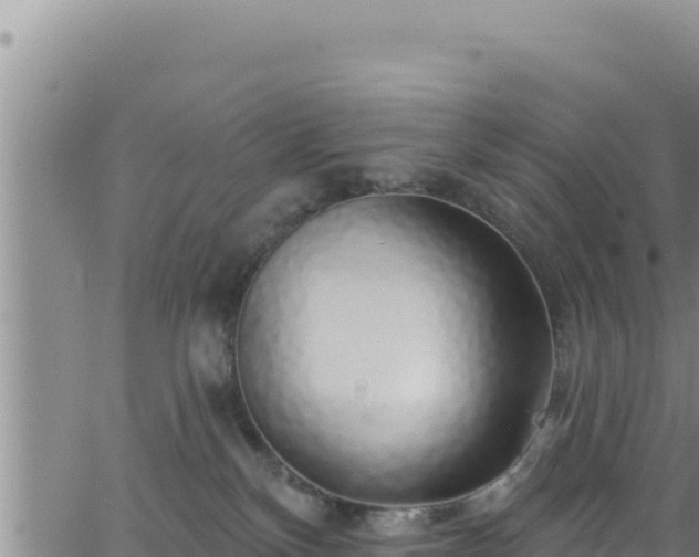 X0000062140136200512161227