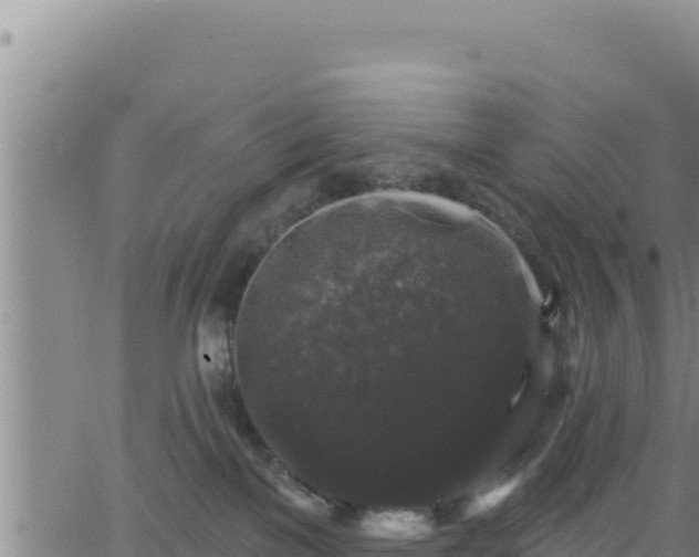 X0000062140137200512161227