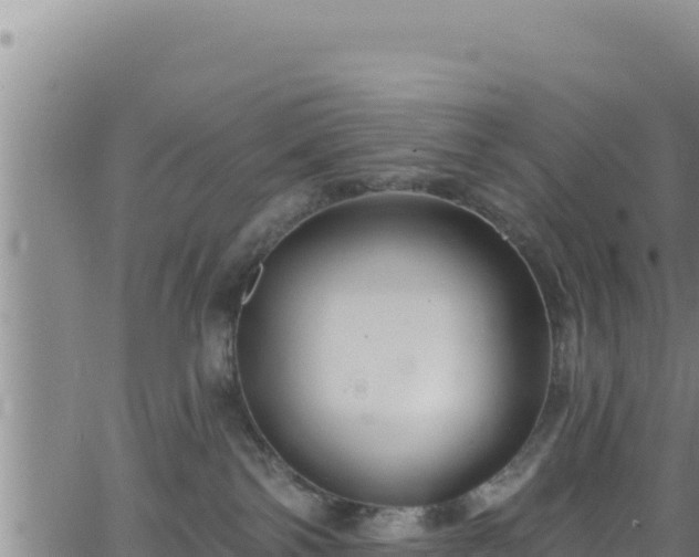 X0000062140138200512161227