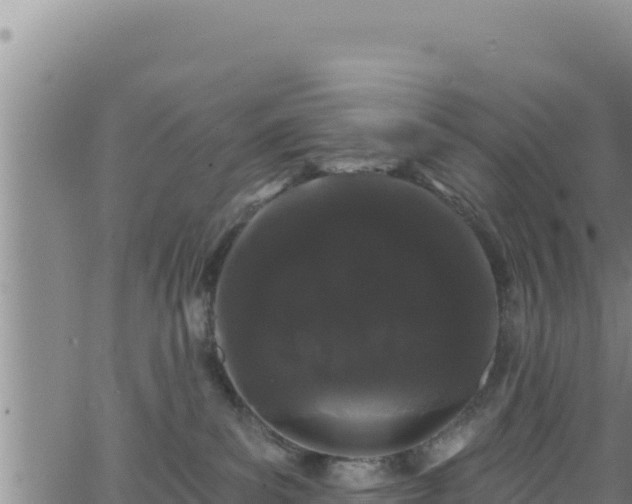 X0000062140139200512161227