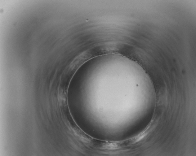 X0000062140140200512161227