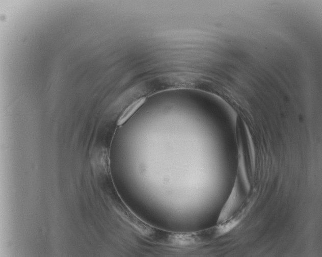 X0000062140141200512161227