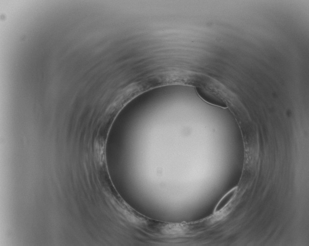 X0000062140142200512161227