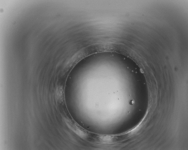 X0000062140144200512161227