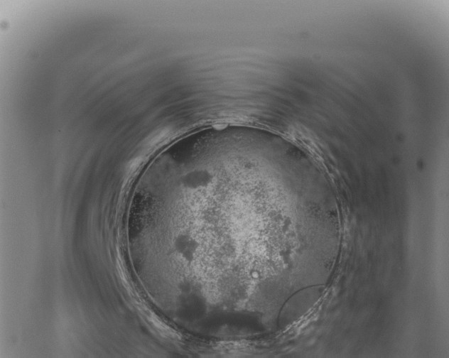 X0000062140145200512161226