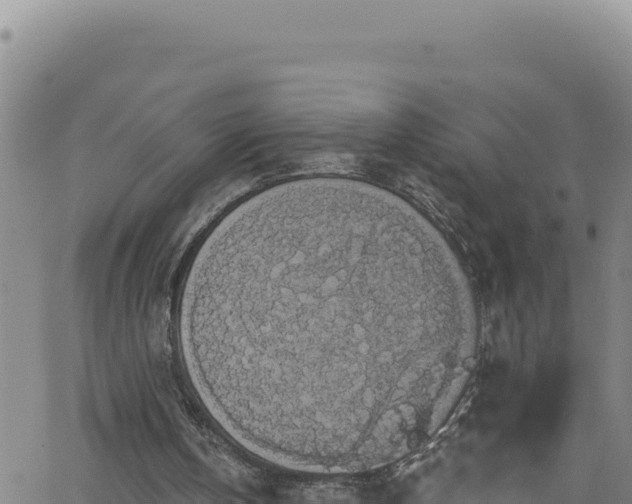 X0000062140146200512161226