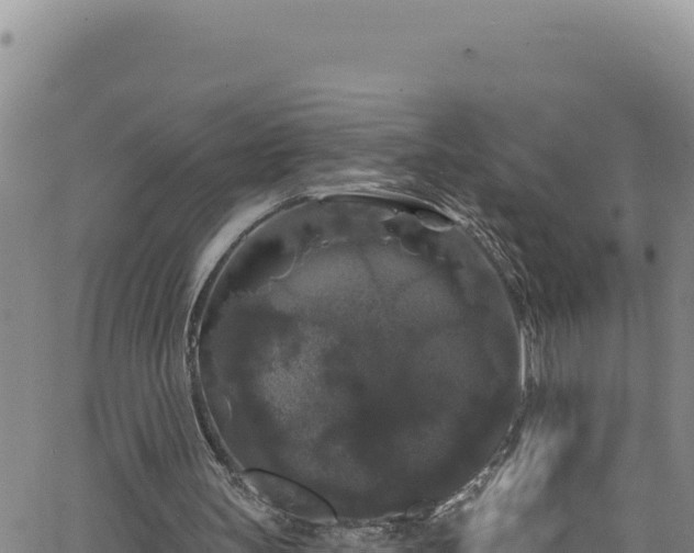 X0000062140147200512161226