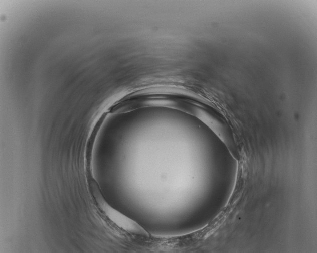 X0000062140148200512161226