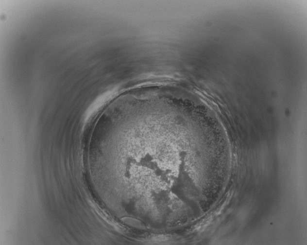 X0000062140149200512161226